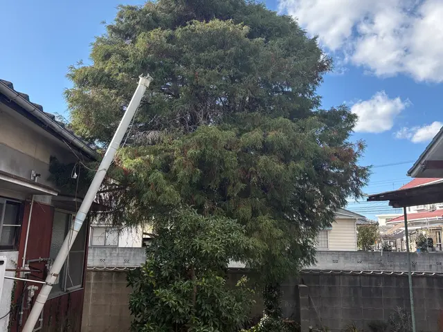 作業外注一切なし、要望確認から仕上げ・清掃まで責任を持って対応いたしますサービスの画像
