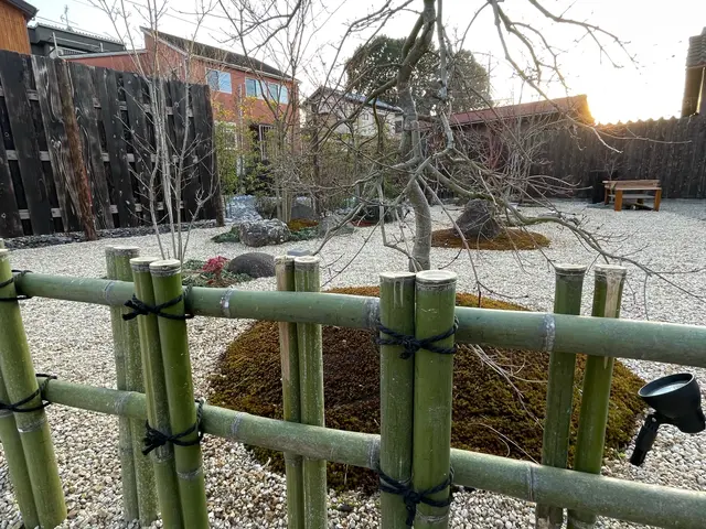 大木から鉢植えまで幅広く可能です☆サービスの画像