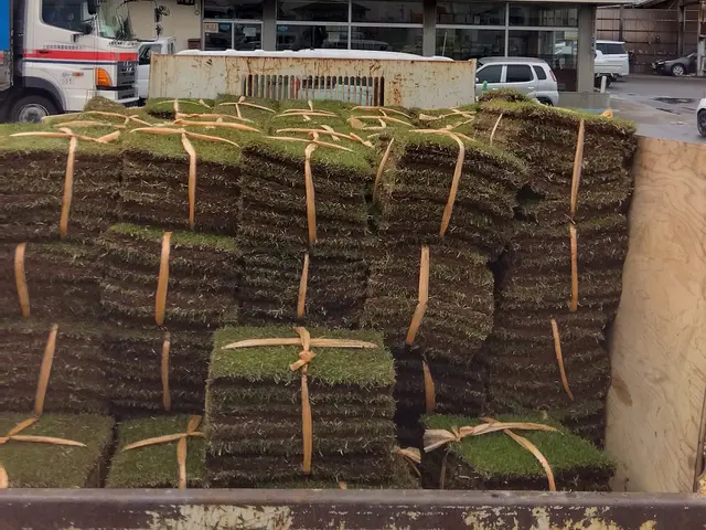 経験27年超のプロが手際よく仕上げる、お庭のケアサービスの画像