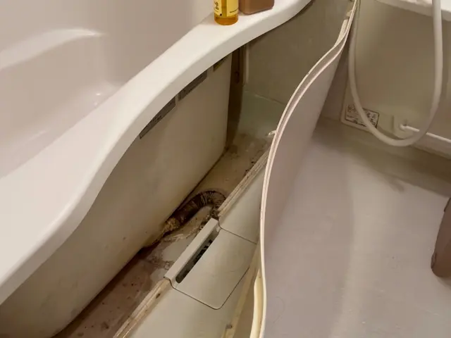 精一杯対応します！ぜひ当店にお任せくださいサービスの画像