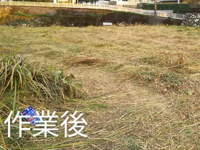 草刈り作業サービスの画像