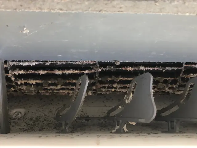 消臭抗菌コート無料　自社作業　保険完備　  複数代割引サービスサービスの画像