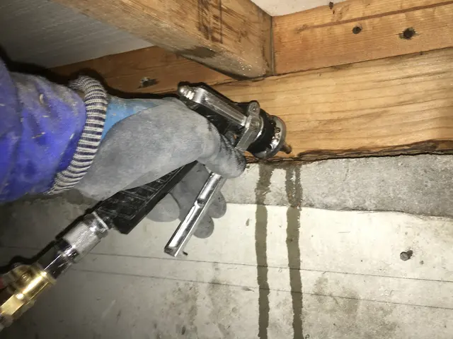 シロアリ駆除で安心の5年賠償保証。お客様のご予算にも対応しますサービスの画像