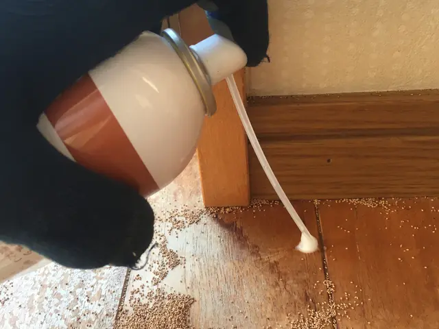 シロアリ駆除で安心の5年賠償保証。お客様のご予算にも対応しますサービスの画像