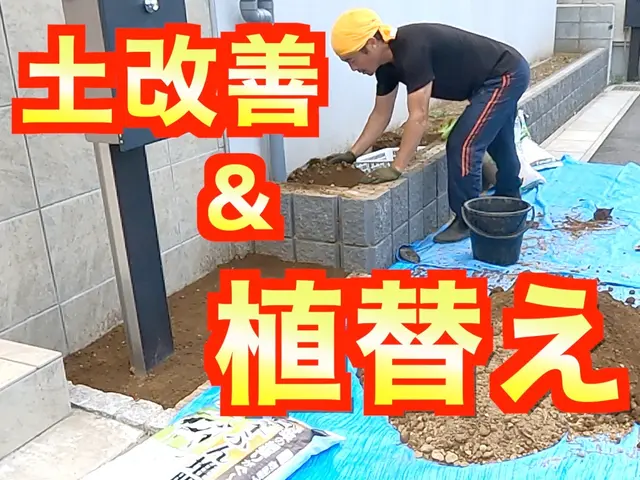 【１本16,500円〜】大事な植木丁寧に植え替え致します《損害保険適応サービス》サービスの画像