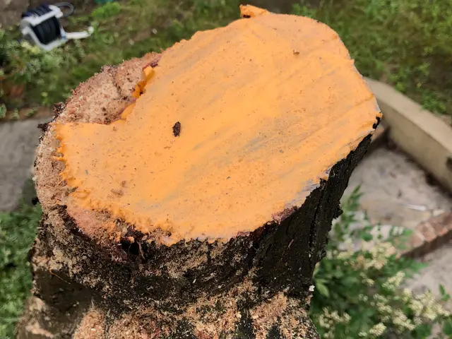 作業の外注はありません。当店スタッフがお客様のご要望にお応えします！サービスの画像