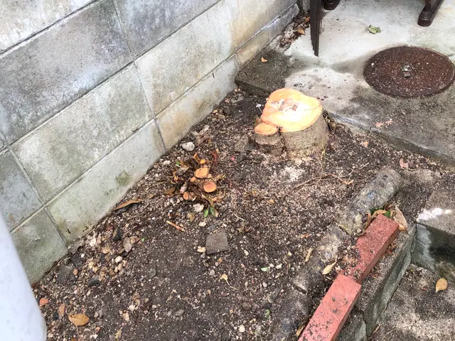 作業の外注はありません。当店スタッフがお客様のご要望にお応えします！サービスの画像