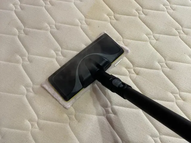 【土日祝日もOK◎】◆ダニ・痒み・汗・臭い・おしっこ跡◆高温スチーム使用！サービスの画像