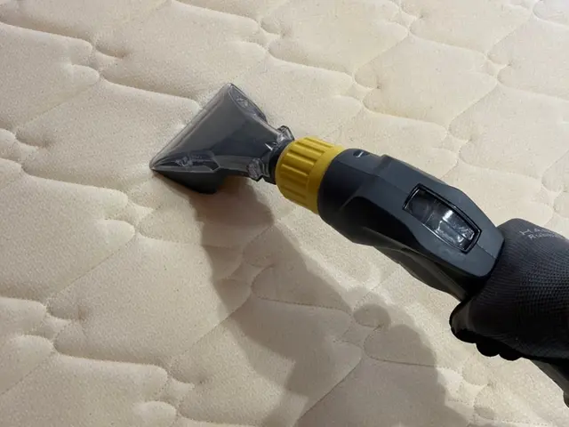 【土日祝日もOK◎】◆ダニ・痒み・汗・臭い・おしっこ跡◆高温スチーム使用！サービスの画像