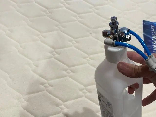 【土日祝日もOK◎】◆ダニ・痒み・汗・臭い・おしっこ跡◆高温スチーム使用！サービスの画像