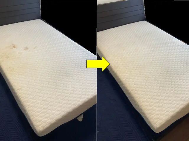 【土日祝日もOK◎】◆ダニ・痒み・汗・臭い・おしっこ跡◆高温スチーム使用！サービスの画像