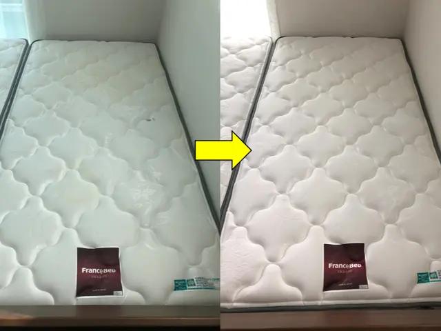 【土日祝日もOK◎】◆ダニ・痒み・汗・臭い・おしっこ跡◆高温スチーム使用！サービスの画像