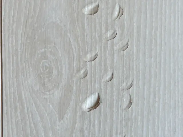 【5月新規出店！】店長がご訪問します！丁寧・迅速・清潔！安心のフローリングケア！サービスの画像