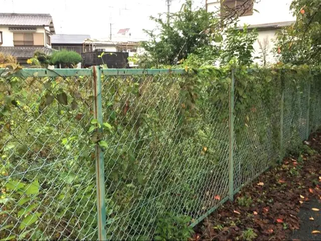 《加東市、小野市、三木市、三田市、その他兵庫県内》ベテランスタッフ対応♪サービスの画像