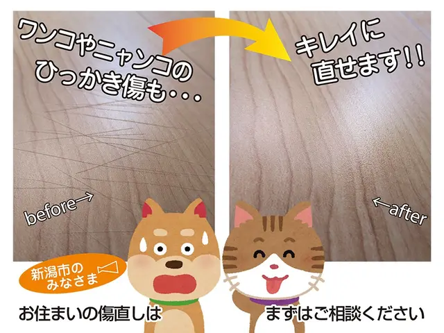 お住まいの傷をスピーディー&リーズナブルに直す、職人による出張サービスサービスの画像