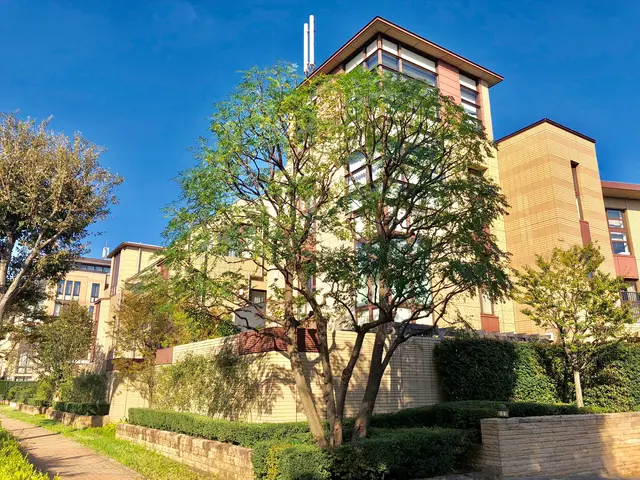 《植木屋を始めてから10年目》神奈川県を中心に対応中◎サービスの画像