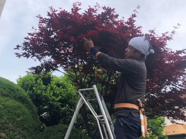 《植木屋を始めてから10年目》神奈川県を中心に対応中◎サービスの画像