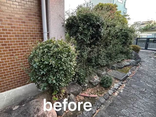 丁寧仕上げで見違える植込み・生垣へ！細部まで美しく、こだわり剪定いたします^_^サービスの画像