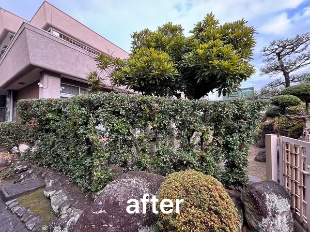 丁寧仕上げで見違える植込み・生垣へ！細部まで美しく、こだわり剪定いたします^_^サービスの画像