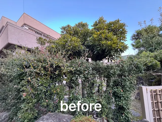 丁寧仕上げで見違える植込み・生垣へ！細部まで美しく、こだわり剪定いたします^_^サービスの画像