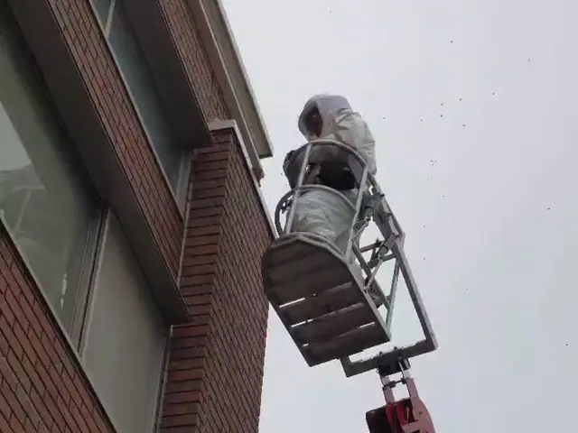 スピーディな蜂の駆除！　群馬県全域対応！　戻り蜂対策／保証付★　年中無休で即対応サービスの画像