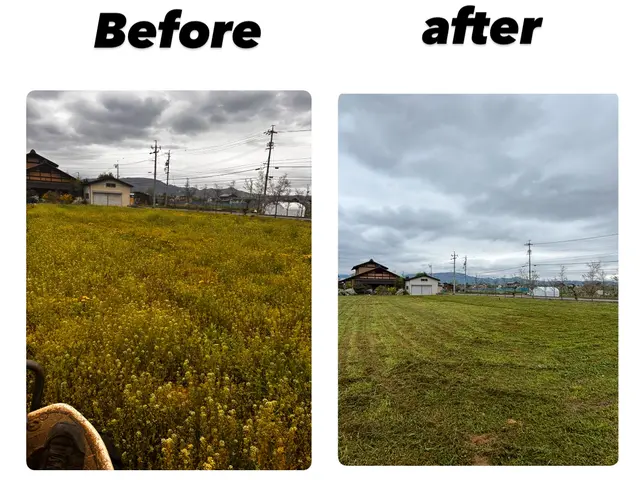 【損害保険加入済◎防犯効果も◎】地域密着店！　草刈りのプロサービスの画像