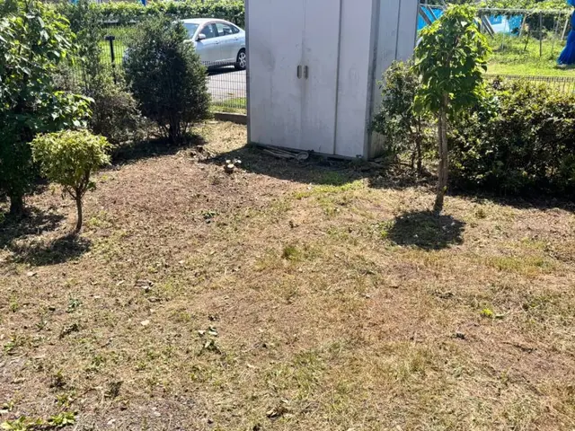 【損害保険加入済◎防犯効果も◎】地域密着店！　草刈りのプロサービスの画像