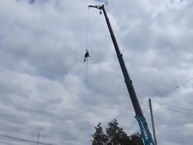 庭木の伐採サービスの画像