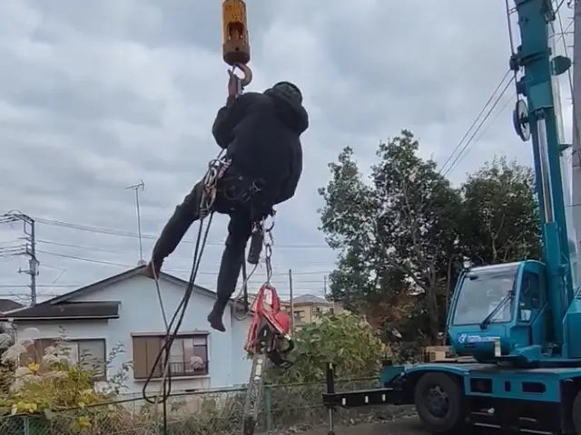 庭木の伐採サービスの画像