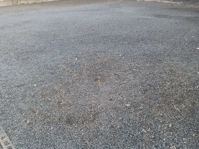 お庭の下草など生えてる箇所の手取りの草取り作業をいたします。サービスの画像