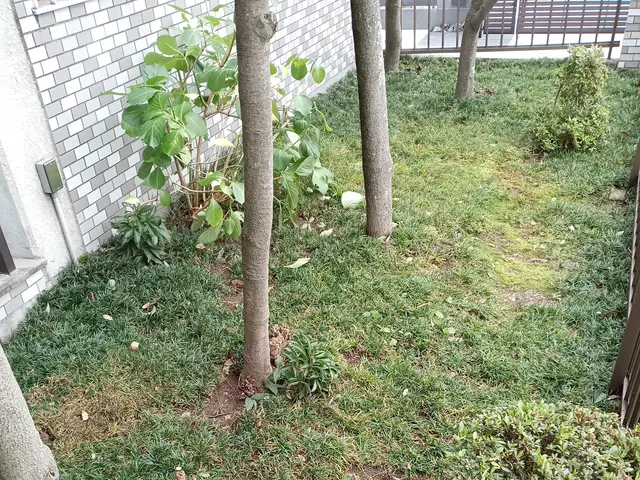 お庭の下草など生えてる箇所の手取りの草取り作業をいたします。サービスの画像