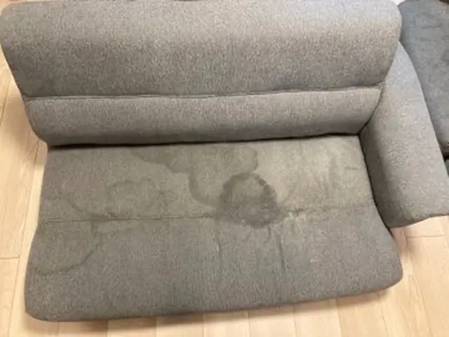 夜間・早朝対応可能◎病院や店舗施設経験あり◎座面の汚れ・臭いを徹底除去！サービスの画像