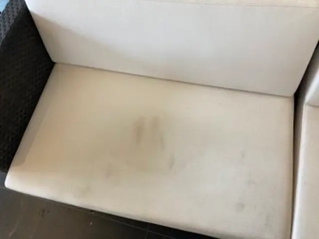 夜間・早朝対応可能◎病院や店舗施設経験あり◎座面の汚れ・臭いを徹底除去！サービスの画像