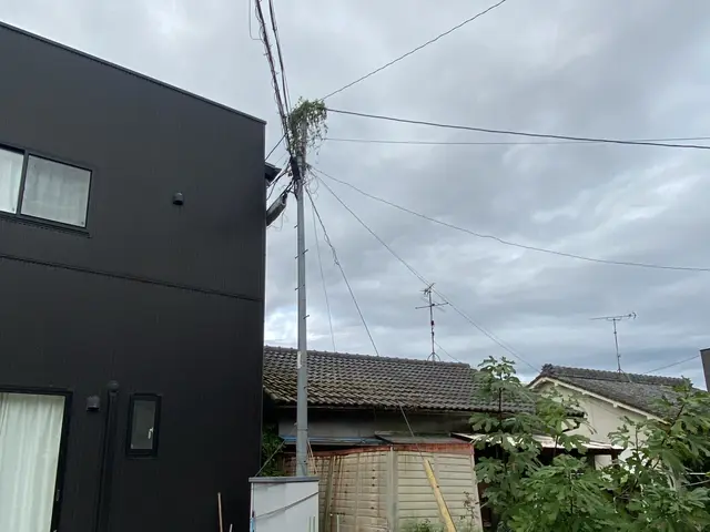 庭木雑木、高木までしっかり対応！ご要望があれば、綺麗に抜根まで施工します！サービスの画像