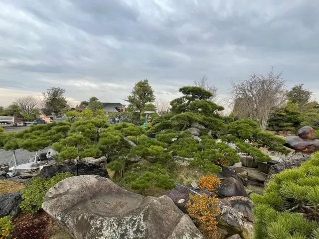 大手量販店で培った高品質施工 × 丁寧な接客サービスの画像