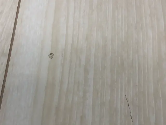 元気な挨拶と丁寧な作業で、お客様のお住まいを「来た時よりも綺麗に」仕上げますサービスの画像