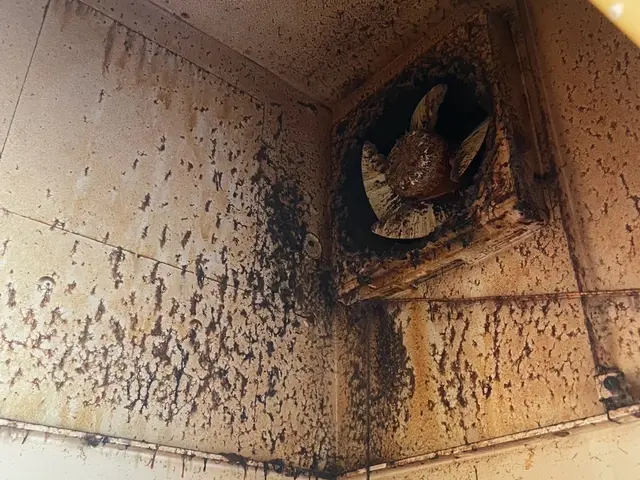 女性スタッフ同行可◎損害保険に加入済み◎当店へお任せください！サービスの画像