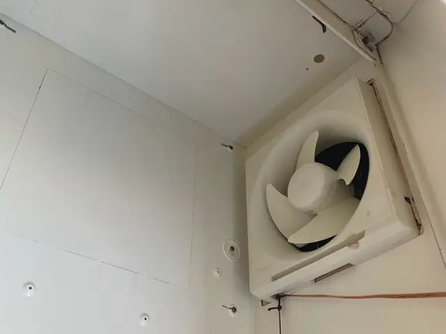 女性スタッフ同行可◎損害保険に加入済み◎当店へお任せください！サービスの画像