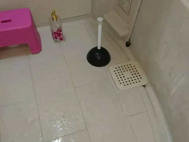 【ハウスクリーニング士在籍】原状回復経験あり！ワックス無料！P代無料。即日対応サービスの画像