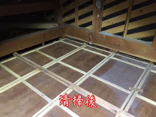 【ネズミ駆除年末まで空き僅か】1度口コミ覗いてください！調査〜お見積りまで無料！サービスの画像