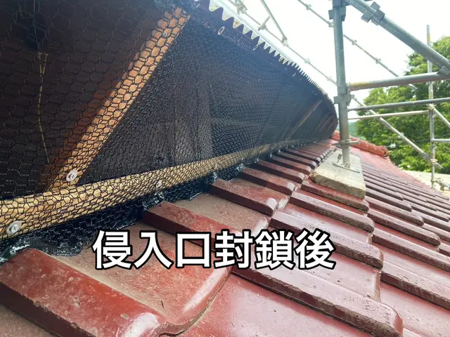 【ネズミ駆除歴10年！】施工前後の写真有 ◎他社に負けない施工の仕上がり◎サービスの画像