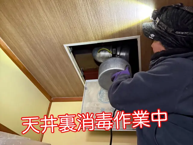 【ネズミ駆除年末まで空き僅か】1度口コミ覗いてください！調査〜お見積りまで無料！サービスの画像