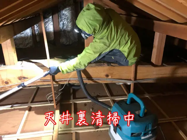 【ネズミ駆除年末まで空き僅か】1度口コミ覗いてください！調査〜お見積りまで無料！サービスの画像