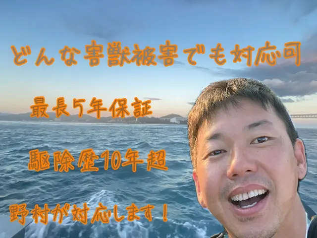 【ネズミ駆除年末まで空き僅か】1度口コミ覗いてください！調査〜お見積りまで無料！サービスの画像