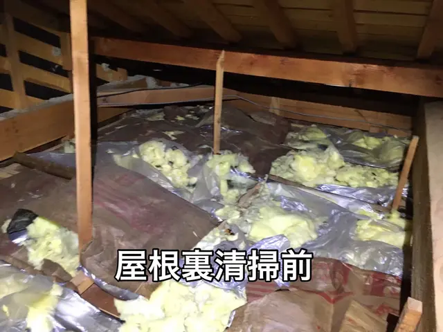 【ネズミ駆除歴10年！】施工前後の写真有 ◎他社に負けない施工の仕上がり◎サービスの画像