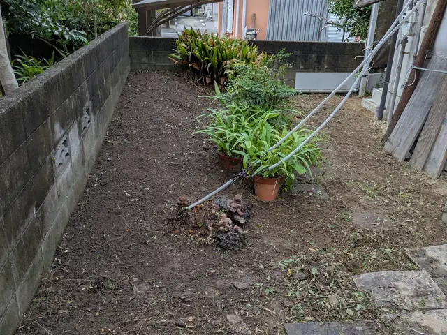 機械を使わない安心除草。成長点よりも下から除草するから再生しにくいからコスパ良しサービスの画像