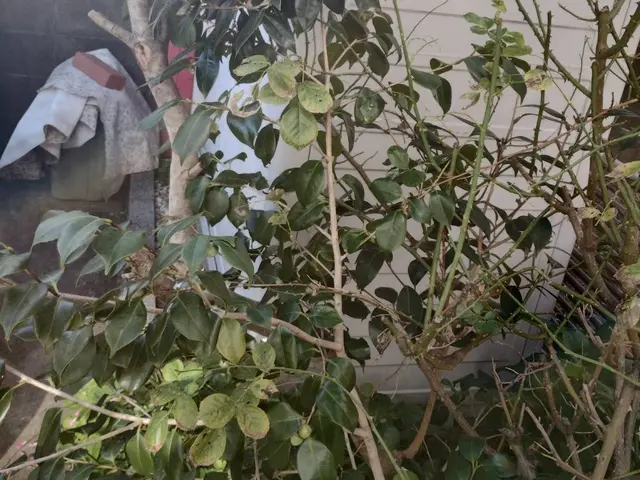 ☆ご新規様キャンペーン中☆女性スタッフ同行可能☆プロにお任せ！サービスの画像