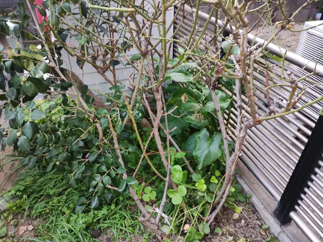 ☆ご新規様キャンペーン中☆女性スタッフ同行可能☆プロにお任せ！サービスの画像