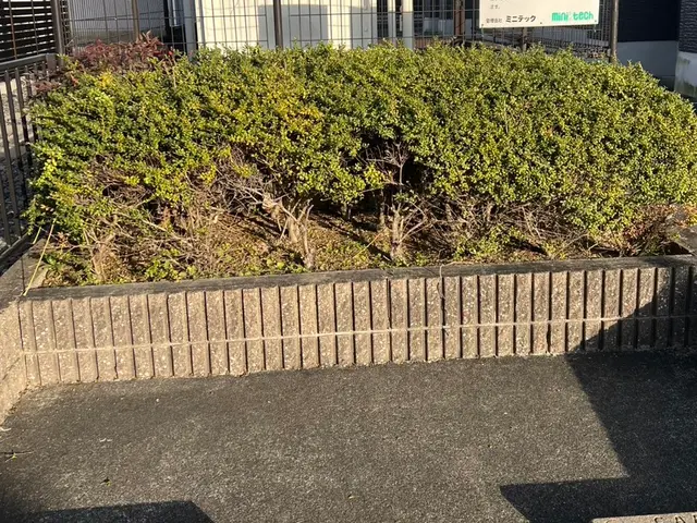 ☆ご新規様キャンペーン中☆女性スタッフ同行可能☆プロにお任せ！サービスの画像