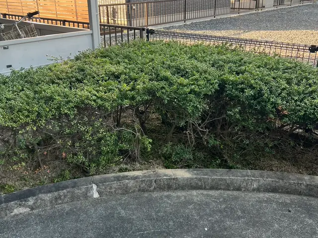 ☆ご新規様キャンペーン中☆女性スタッフ同行可能☆プロにお任せ！サービスの画像